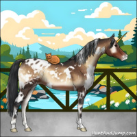 Horse Color:White Spotted Brown Onyx Appaloosa