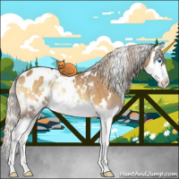 Horse Color:White Spotted Silver Buckskin Onyx Splash Blanket Rabicano
