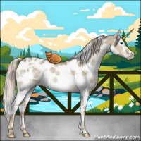 Horse Color:Chocolate Palomino Ice Dun Splash Tobiano Appaloosa 