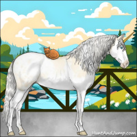Horse Color:White Spotted Silver Buckskin Pearl Dun Splash Appaloosa Rabicano