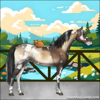 Horse Color:White Spotted Brown Ice Onyx Appaloosa