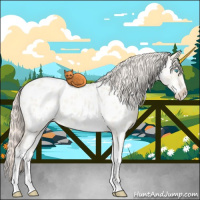 Horse Color:Cremello Dun Sabino Appaloosa 