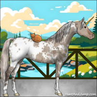 Horse Color:White Spotted Silver Grullo Ice Varnish