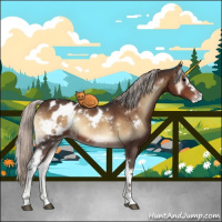Horse Color:White Spotted Silver Brown Onyx Appaloosa 