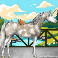 Horse Color:White Spotted Silver Smoky Grullo Splash Appaloosa 