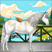 Horse Color:White Spotted Silver Buckskin Dun Splash Appaloosa Rabicano