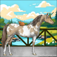 Horse Color:White Spotted Chocolate Palomino Ice Roan Dun