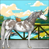 Horse Color:White Spotted Silver Grullo Ice Splash