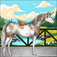 Horse Color:White Spotted Chocolate Palomino Dun Splash Rabicano
