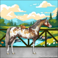 Horse Color:White Spotted Silver Buckskin Onyx Sabino Blanket