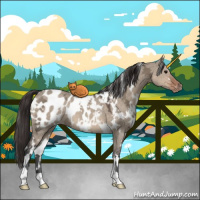 Horse Color:White Spotted Brown Ice Dun Appaloosa 