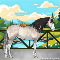 Horse Color:Bay Ice Roan Onyx Splash Rabicano 
