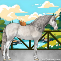 Horse Color:Silver Grullo Ice Roan Onyx Sabino Rabicano