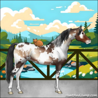 Horse Color:White Spotted Bay Onyx Appaloosa 