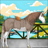 Horse Color:Liver Red Dun Ice Sabino Splash 