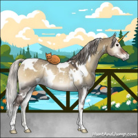 Horse Color:White Spotted Silver Smoky Grullo Roan Onyx Rabicano