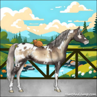 Horse Color:White Spotted Silver Brown Ice Onyx Appaloosa 
