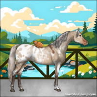 Horse Color:White Spotted Silver Brown Dun Blanket