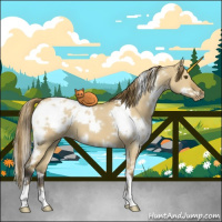Horse Color:White Spotted Buckskin Dun Blanket