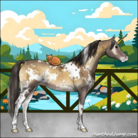 Horse Color:White Spotted Buckskin Ice Onyx Appaloosa