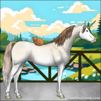 Horse Color:White Spotted Smoky Grullo Pearl Onyx Splash Rabicano 