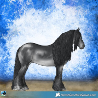 Horse Color:Black Chinchilla Sabino 