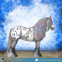 Horse Color:Nacre Grullo Chinchilla Ice Appaloosa 