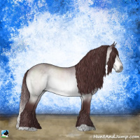 Horse Color:Chocolate Brown Chinchilla 