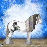 Horse Color:Nacre White Spotted Black Chinchilla Ice Splash Tobiano