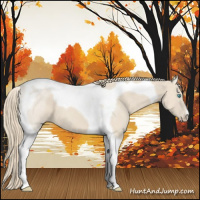 Horse Color:Smoky Creme Tobiano 
