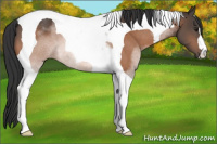 Horse Color:Brown Tobiano 