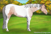 Horse Color:Bay Tobiano 
