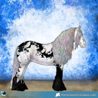 Horse Color:Nacre Plaid  Silver Brown Ice Onyx Sabino Tobiano Appaloosa 