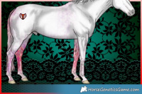 Horse Color:Gray Watercolor Gold Champagne Dun  and Gray Watercolor Liver Chestnut Ice 