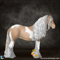 Horse Color:Silver Black Pearl Tobiano Rabicano 