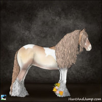 Horse Color:Red Onyx Pearl Tobiano Rabicano