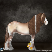 Horse Color:White Spotted Liver Red Onyx Pearl Sabino 