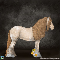 Horse Color:Chestnut Ice Pearl 