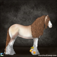 Horse Color:Red Onyx Pearl Sabino Rabicano