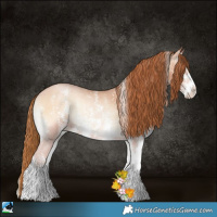Horse Color:Bay Pearl Onyx Sabino 