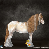 Horse Color:White Spotted Red Onyx Pearl Sabino