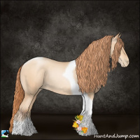 Horse Color:Amber Champagne Pearl Tobiano Rabicano