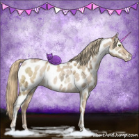 Horse Color:Liver Red Dun Ice Pearl Sabino Appaloosa 