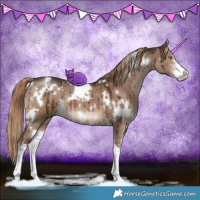 Horse Color:White Spotted Liver Red Dun Sabino Brindle 