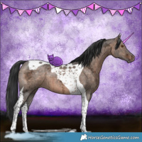 Horse Color:Brown Ice Dun Tobiano Brindle 
