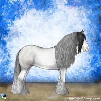 Horse Color:Blue Onyx Ice Roan Sabino Splash Rabicano