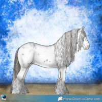 Horse Color:White Spotted Liver Chestnut Ice Sabino 