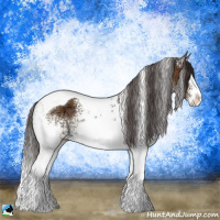 Horse Color:White Spotted Bay Ice Splash Tobiano Rabicano 