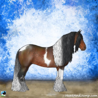 Horse Color:Brown Sabino Tobiano Rabicano 