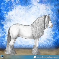 Horse Color:Grullo Mushroom Sabino Rabicano